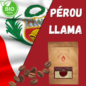 Pérou Llama Bio